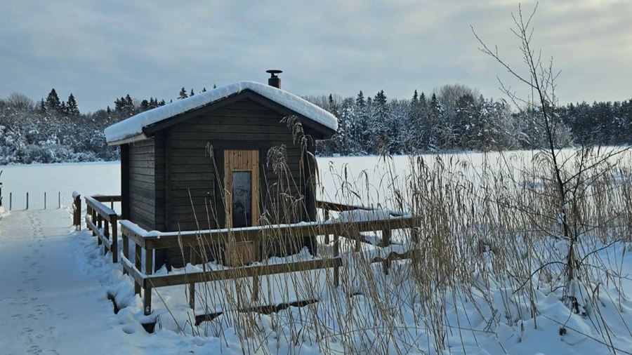 Bild på bastu