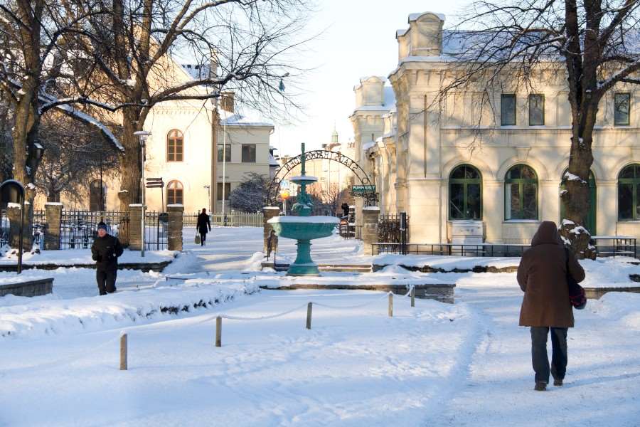 Vinter i Uppsala