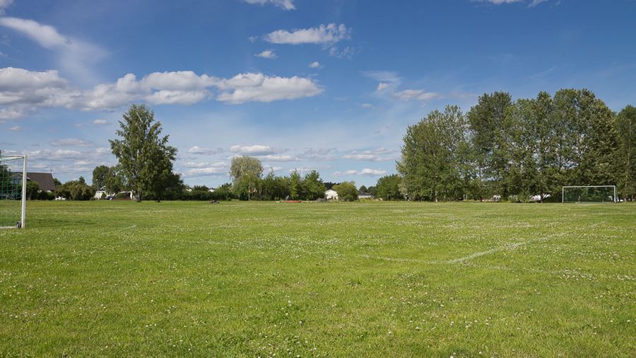 Lövstalöts fotbollsplan med träd i bakgrunden.