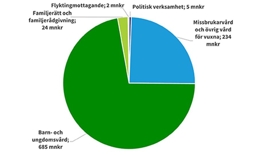 Cirkeldiagram Socialn&auml;mnden 2024_500x300.jpg