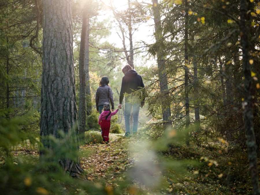 En vuxen och två barn går längs stig i skogen