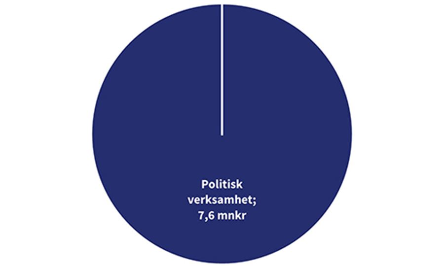 Cirkeldiagram Kommunrevisionen 2024_500x300.jpg