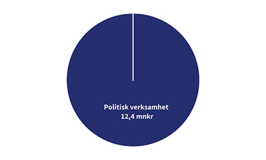 Cirkeldiagram Valn&auml;mnden 2024_500x300.jpg