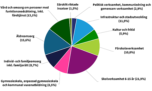 Kommunbidrag per verksamhet 2025 t&aring;rtdiagram_500x300.png