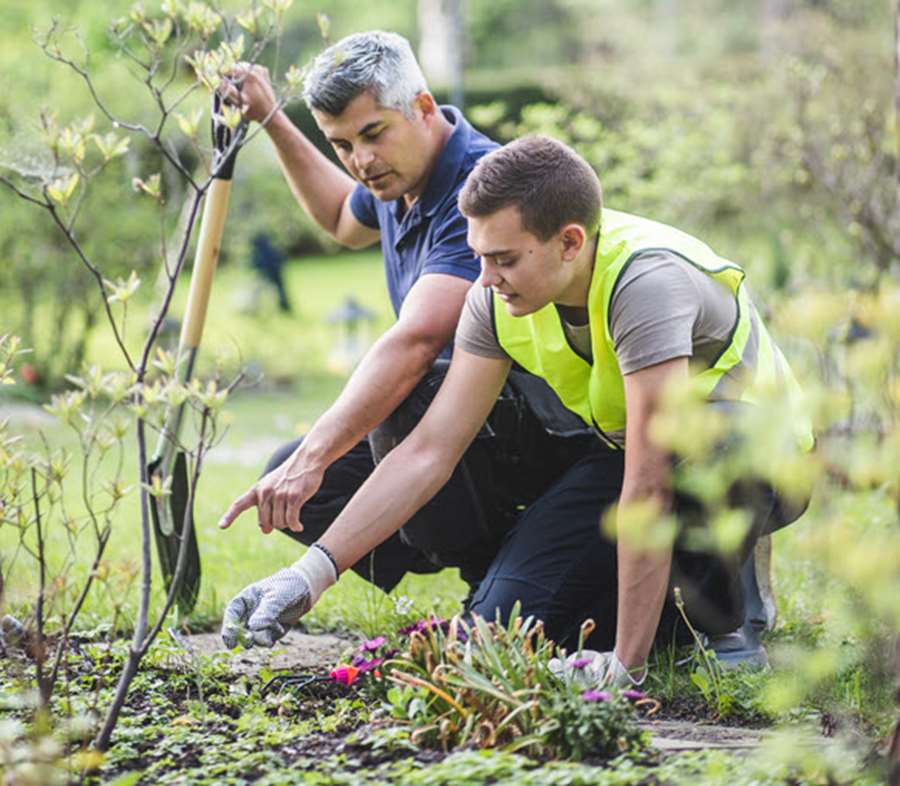 En man visar en ungdom hur man ska plantera i en trädgård
