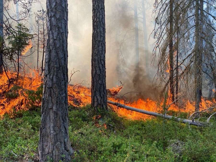 Med ett skogsbrandvärn i Tierp kommer brandförsvaret att vara ännu bättre rustat vid släckinsatser och skogsbränder. Bild: Uppsala brandförsvar.