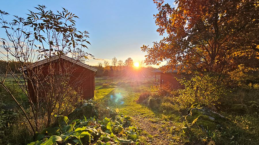 Solen på väg ned vid en stuga en höstdag  i Fjällnora friluftsområde