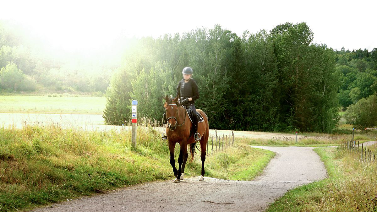 En tjej rider på en häst i Hågadalen-Nåstens naturreservat.