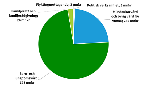 Socialn&auml;mnden 2025 t&aring;rtdiagram_500x300.png